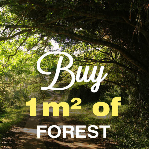 A square meter of forest for $5-old