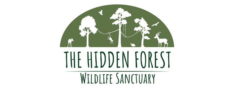 Hidden Forest Wildlife Sanctuary