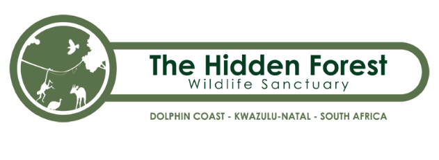 thf-logo1-resized