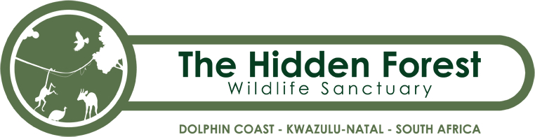 thf-logo1